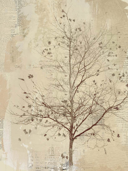 Compatible Landscape for JAHRRIESNGE trees lpf08370 Compatible Landscape JAHRRIESNGE for trees lpf08370