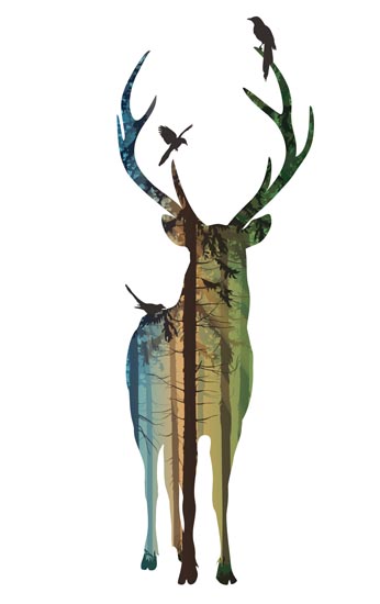 Compatible Animals for Jahrriesnge deer lpf08618 Compatible Animals Jahrriesnge for deer lpf08618