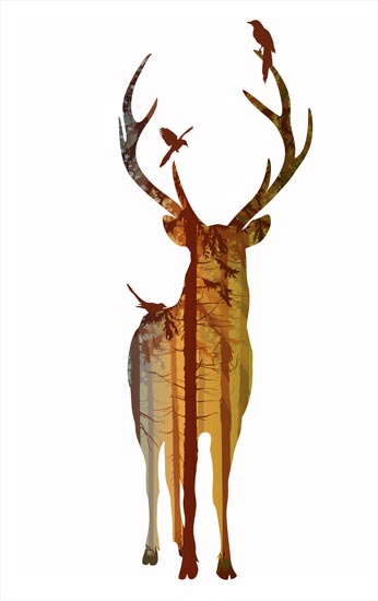 Compatible Animals for Jahrriesnge deer lpf08620 Compatible Animals Jahrriesnge for deer lpf08620