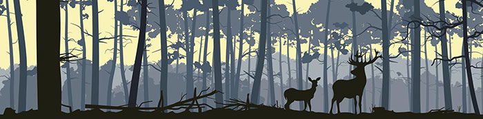 Compatible Animals for Jahrriesnge deer lpf08624 Compatible Animals Jahrriesnge for deer lpf08624