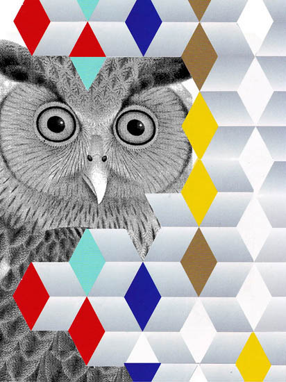 Compatible Animals for Jahrriesnge owl lpf08644 Compatible Animals Jahrriesnge for owl lpf08644