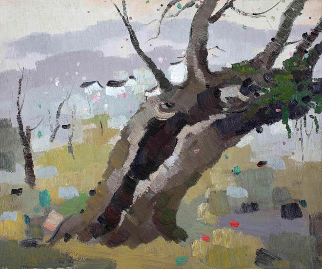 Compatible Landscape for JAHRRIESNGE trees lpf09222 Compatible Landscape JAHRRIESNGE for trees lpf09222