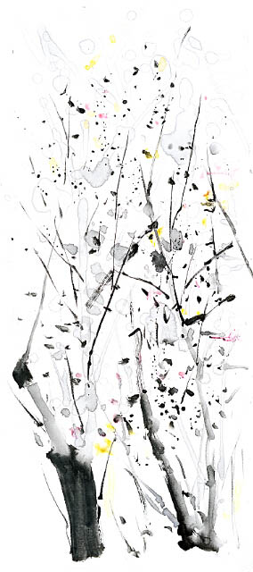 Compatible Landscape for JAHRRIESNGE trees lpf09341 Compatible Landscape JAHRRIESNGE for trees lpf09341