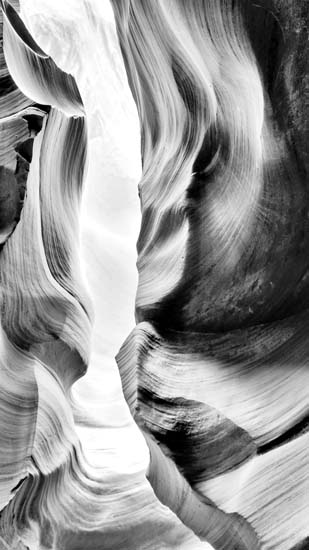 Compatible Landscape for JAHRRIESNGE untitle lpf09388 Compatible Landscape JAHRRIESNGE for untitle lpf09388