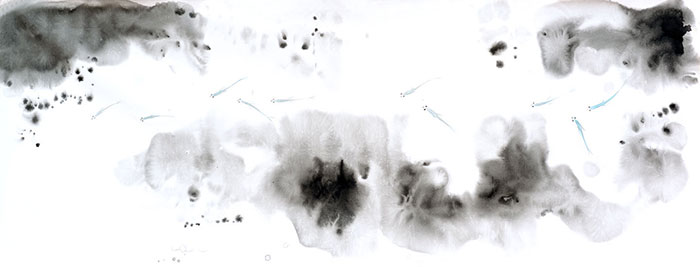 Compatible Landscape for JAHRRIESNGE fishes lpf09416 Compatible Landscape JAHRRIESNGE for fishes lpf09416