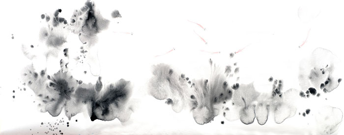 Compatible Landscape for JAHRRIESNGE fishes lpf09423 Compatible Landscape JAHRRIESNGE for fishes lpf09423