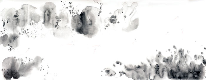 Compatible Landscape for JAHRRIESNGE fishes lpf09425 Compatible Landscape JAHRRIESNGE for fishes lpf09425