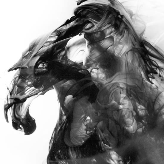 Compatible Landscape for JAHRRIESNGE untitle lpf09514 Compatible Landscape JAHRRIESNGE for untitle lpf09514