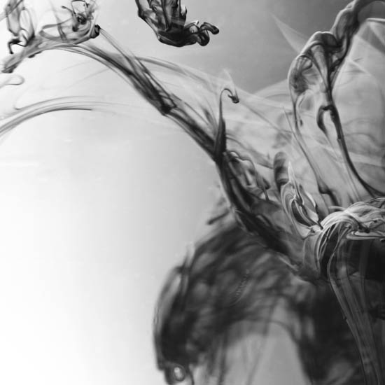 Compatible Landscape for JAHRRIESNGE untitle lpf09515 Compatible Landscape JAHRRIESNGE for untitle lpf09515