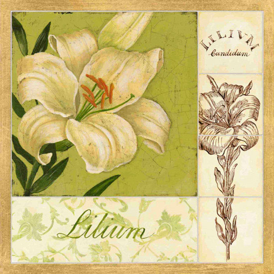 Compatible Floral for JAHRRIESNGE flowers lpf09621 Compatible Floral JAHRRIESNGE for flowers lpf09621