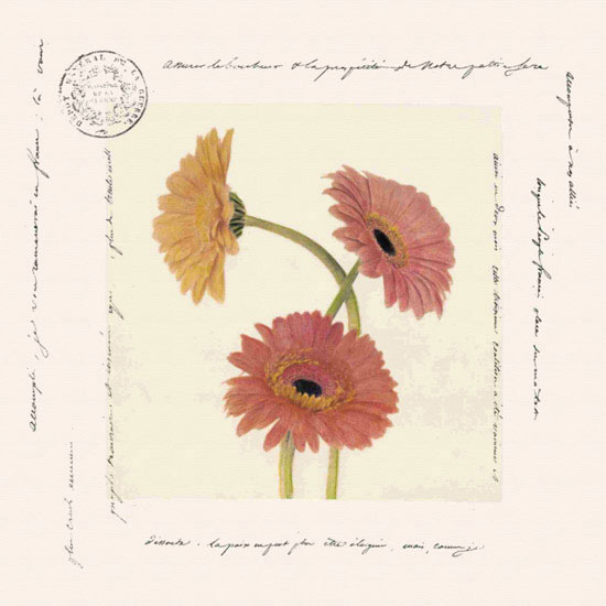 Compatible Floral for JAHRRIESNGE flowers lpf09642 Compatible Floral JAHRRIESNGE for flowers lpf09642