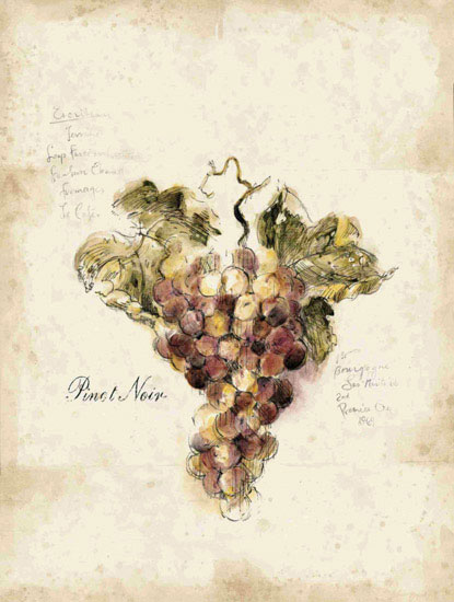 Compatible Floral for JAHRRIESNGE grapes lpf09660 Compatible Floral JAHRRIESNGE for grapes lpf09660