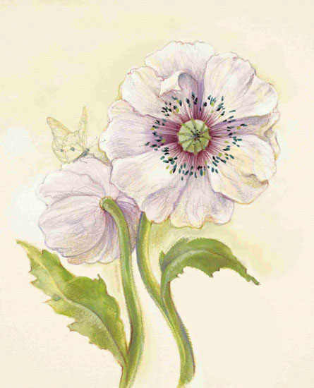 Compatible Floral Jahrriesnge  for flowers lpf09686 