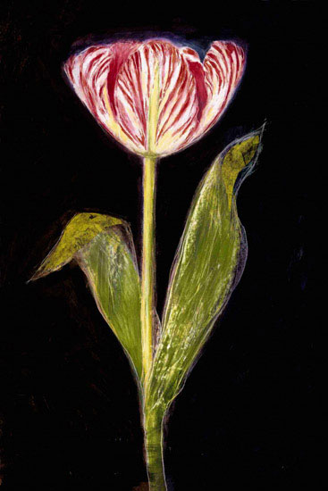 Compatible Floral for JAHRRIESNGE flowers lpf09829 Compatible Floral JAHRRIESNGE for flowers lpf09829