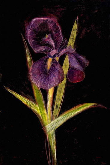 Compatible Floral for JAHRRIESNGE flowers lpf09830 Compatible Floral JAHRRIESNGE for flowers lpf09830