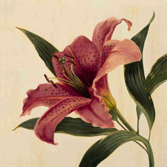 Compatible Floral for JAHRRIESNGE flowers lpf09938 Compatible Floral JAHRRIESNGE for flowers lpf09938