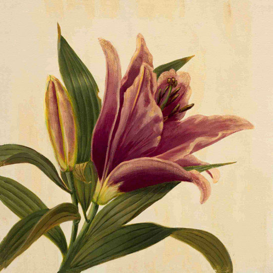 Compatible Floral for JAHRRIESNGE flowers lpf09939 Compatible Floral JAHRRIESNGE for flowers lpf09939