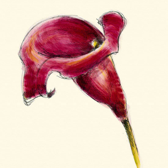 Compatible Floral for JAHRRIESNGE flowers lpf09985 Compatible Floral JAHRRIESNGE for flowers lpf09985