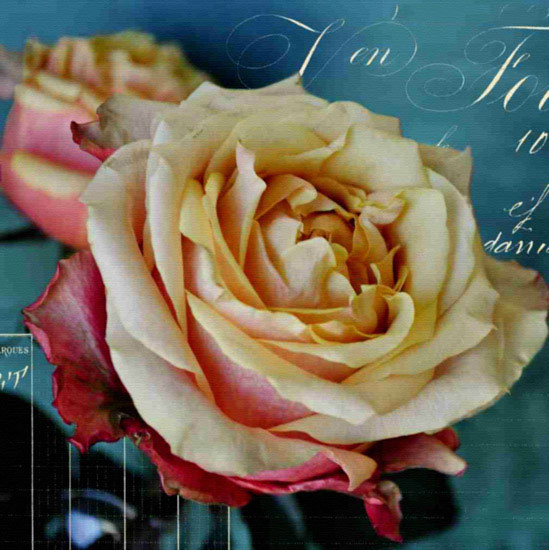 Compatible Floral for JAHRRIESNGE flowers lpf10018 Compatible Floral JAHRRIESNGE for flowers lpf10018