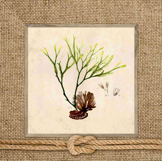 Compatible Floral for JAHRRIESNGE flowers lpf10167 Compatible Floral JAHRRIESNGE for flowers lpf10167