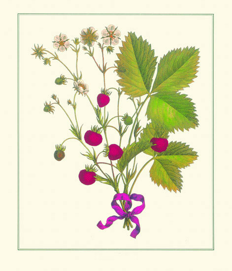 Compatible Floral for JAHRRIESNGE flowers lpf10186 Compatible Floral JAHRRIESNGE for flowers lpf10186