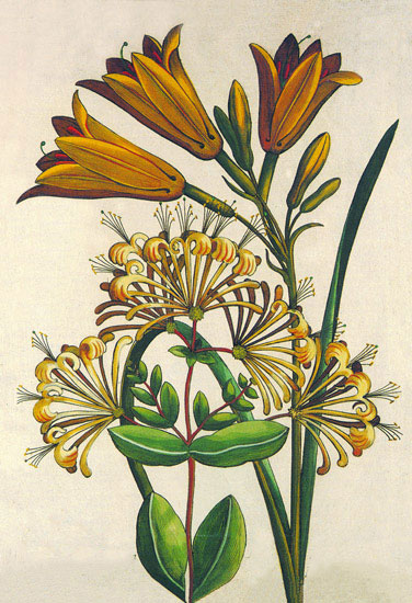 Compatible Floral for JAHRRIESNGE flowers lpf10189 Compatible Floral JAHRRIESNGE for flowers lpf10189