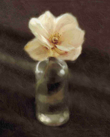 Compatible Floral for JAHRRIESNGE flowers lpf10236 Compatible Floral JAHRRIESNGE for flowers lpf10236