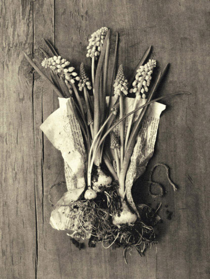 Compatible Floral for JAHRRIESNGE flowers lpf10241 Compatible Floral JAHRRIESNGE for flowers lpf10241