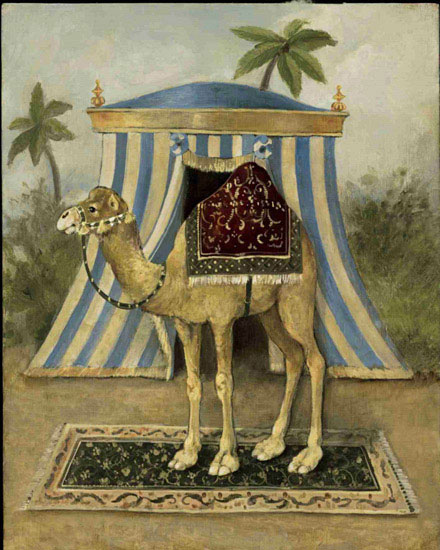 Compatible Animals for Jahrriesnge camel lpf10521 Compatible Animals Jahrriesnge for camel lpf10521