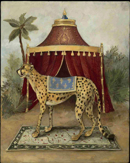 Compatible Animals for Jahrriesnge cheetah lpf10522 Compatible Animals Jahrriesnge for cheetah lpf10522