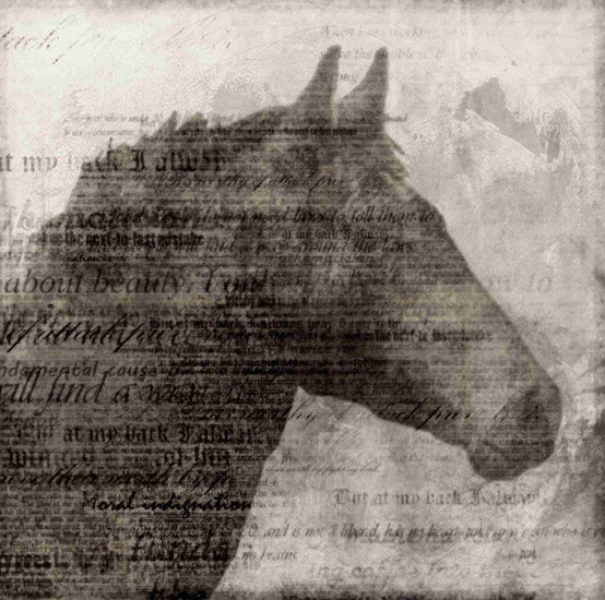 Compatible Portrait for Jahrriesnge horse lpf10529 Compatible Portrait Jahrriesnge for horse lpf10529