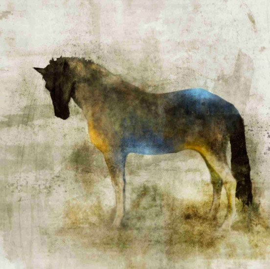 Compatible Animals for Jahrriesnge horse lpf10532 Compatible Animals Jahrriesnge for horse lpf10532