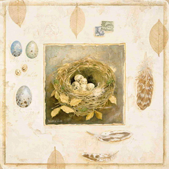 Compatible Animals for Jahrriesnge eggs lpf10576 Compatible Animals Jahrriesnge for eggs lpf10576