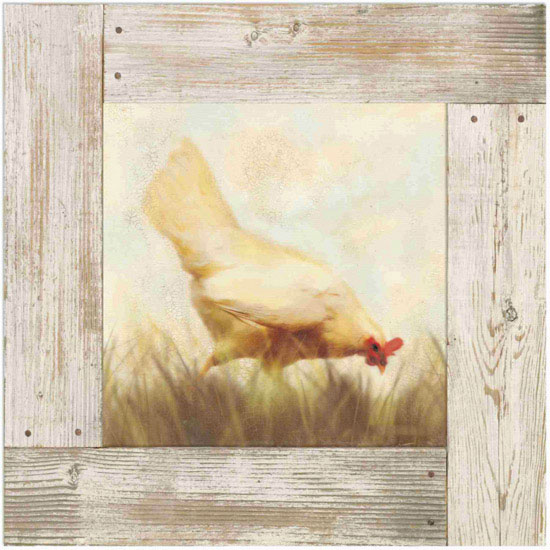 Compatible Animals for Jahrriesnge hen lpf10582 Compatible Animals Jahrriesnge for hen lpf10582