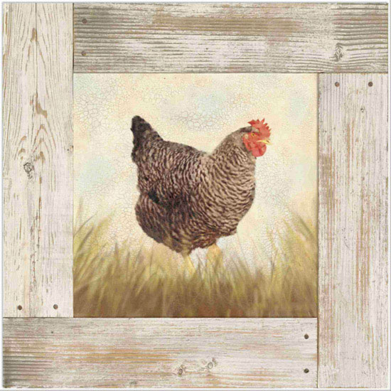 Compatible Animals for Jahrriesnge hen lpf10585 Compatible Animals Jahrriesnge for hen lpf10585