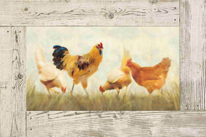 Compatible Animals for Jahrriesnge cock and hen lpf10586 Compatible Animals Jahrriesnge for cock and hen lpf10586