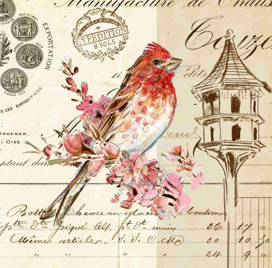 Compatible Animals for Jahrriesnge bird lpf10592 Compatible Animals Jahrriesnge for bird lpf10592