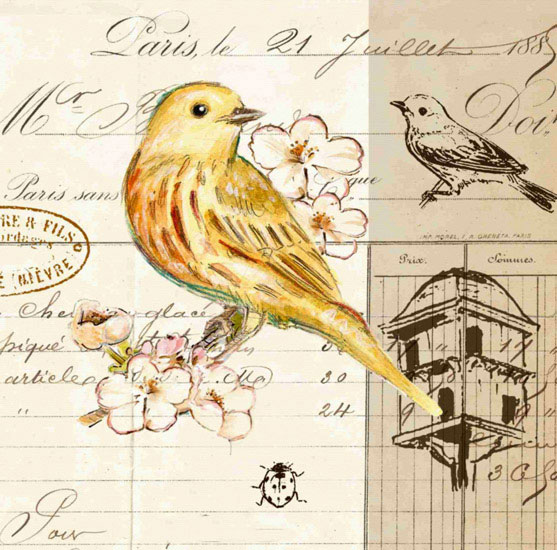 Compatible Animals for Jahrriesnge bird lpf10593 Compatible Animals Jahrriesnge for bird lpf10593