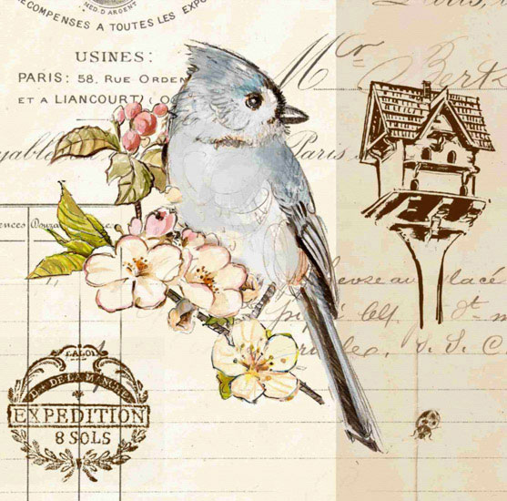 Compatible Animals for Jahrriesnge bird lpf10595 Compatible Animals Jahrriesnge for bird lpf10595