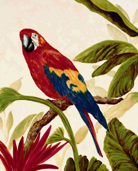 Compatible Animals for Jahrriesnge macaw lpf10597 Compatible Animals Jahrriesnge for macaw lpf10597