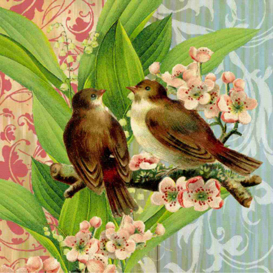 Compatible Animals for Jahrriesnge birds lpf10605 Compatible Animals Jahrriesnge for birds lpf10605