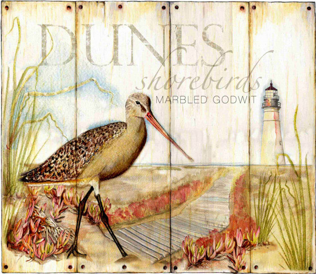 Compatible Animals for Jahrriesnge toucan lpf10637 Compatible Animals Jahrriesnge for toucan lpf10637