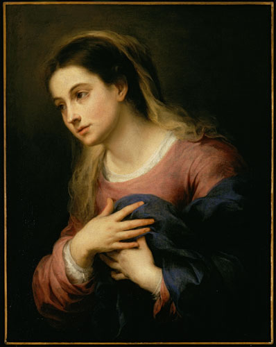 Compatible Portrait for Jahrriesnge noble lpf11284 Compatible Portrait Jahrriesnge for noble lpf11284