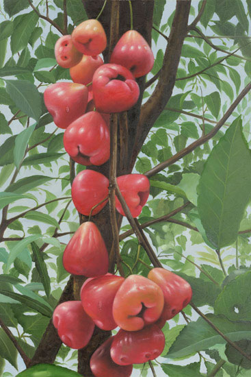 Compatible Still Life for Jahrriesnge fruits lpf13649 Compatible Still Life Jahrriesnge for fruits lpf13649