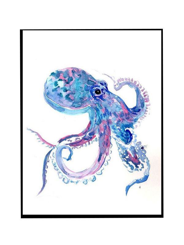 Compatible Animals for Jahrriesnge fish-lpg0492 Compatible Animals Jahrriesnge for fish-lpg0492