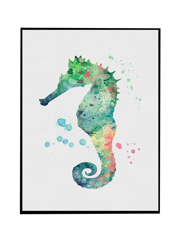 Compatible Animals for Jahrriesnge seahorse-lpg0499 Compatible Animals Jahrriesnge for seahorse-lpg0499