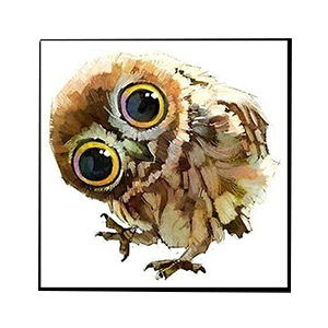 Compatible Animals for Jahrriesnge owl-lpg0514 Compatible Animals Jahrriesnge for owl-lpg0514
