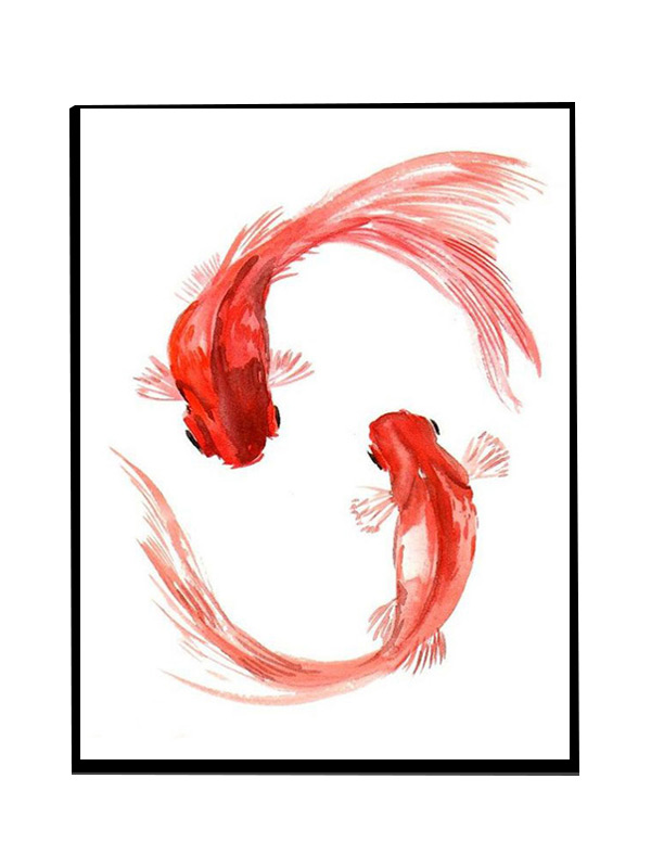 Compatible Animals for Jahrriesnge fish-lpg0521 Compatible Animals Jahrriesnge for fish-lpg0521