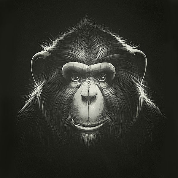 Compatible Animals for Jahrriesnge monkey-lpg0531 Compatible Animals Jahrriesnge for monkey-lpg0531