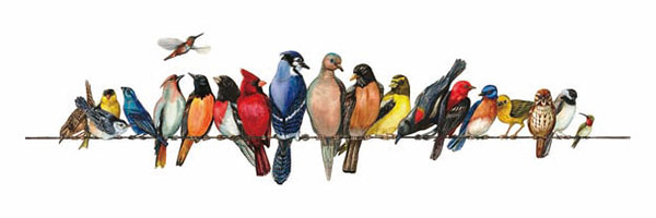 Compatible Animals for Jahrriesnge birds-song-lpg1000 Compatible Animals Jahrriesnge for birds-song-lpg1000